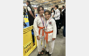 Coupe de Ligue Pupilles/Benjamins