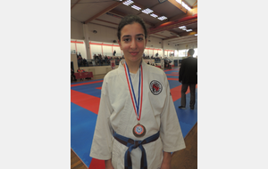 bronze ligue kumité minimes 2017